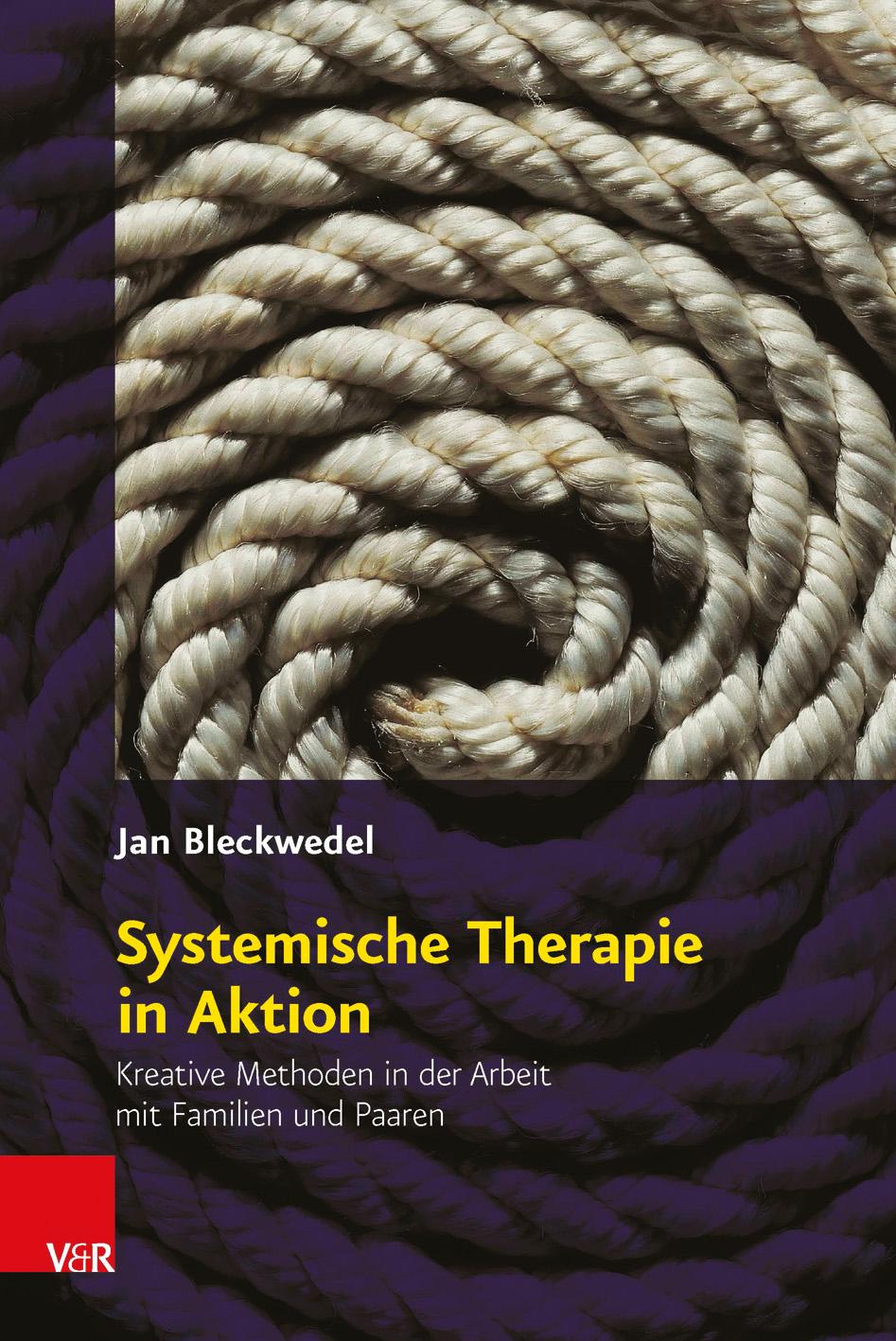 Vorderes Coverbild Systemische Therapie in Aktion