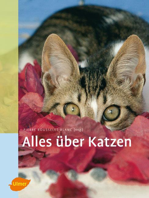 Vorderes Coverbild Alles über Katzen