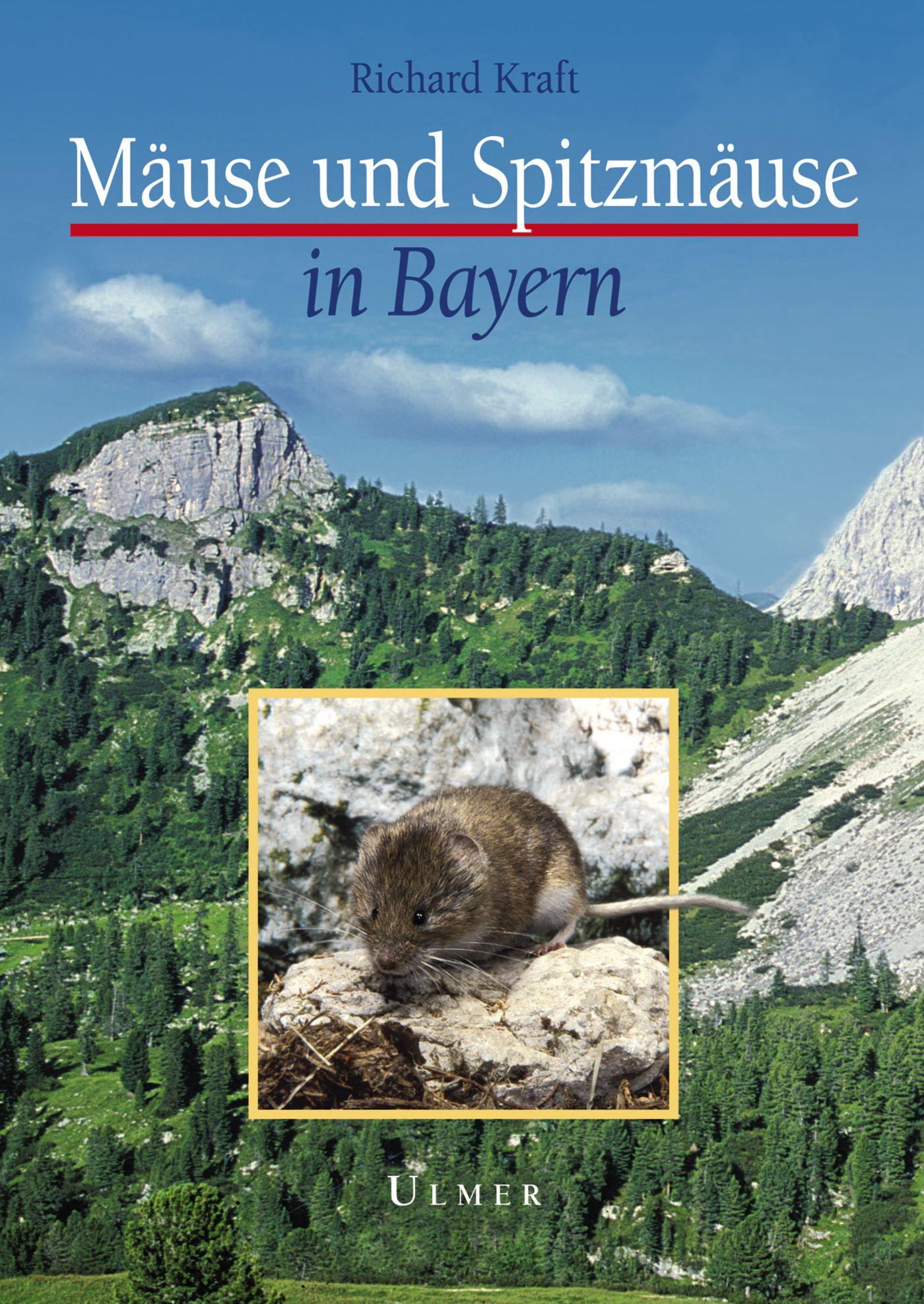 Vorderes Coverbild Mäuse und Spitzmäuse in Bayern
