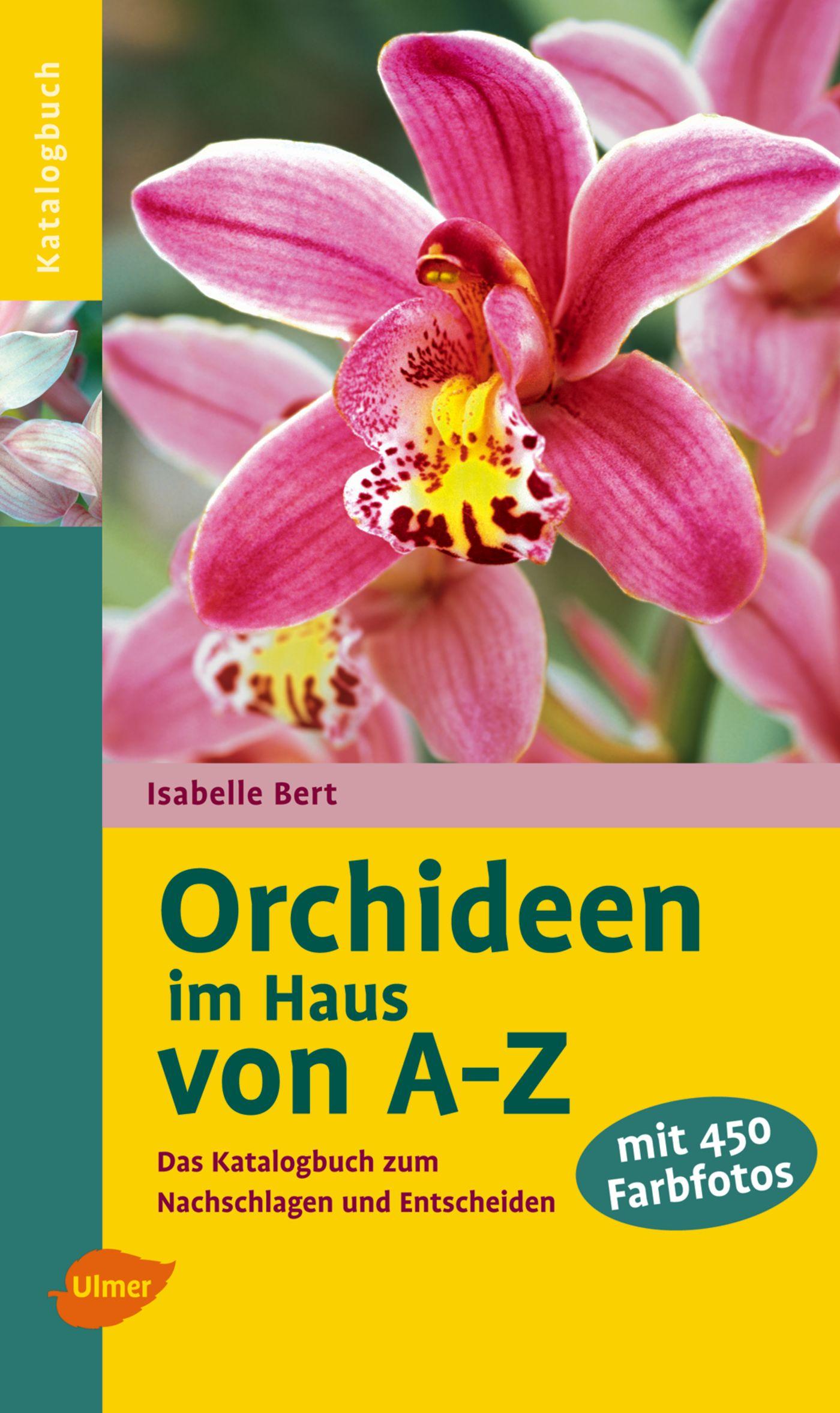 Vorderes Coverbild Orchideen im Haus von A - Z