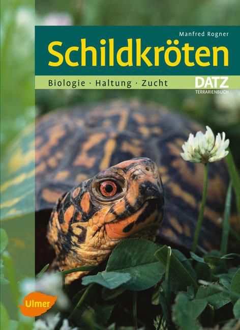 Vorderes Coverbild Schildkröten