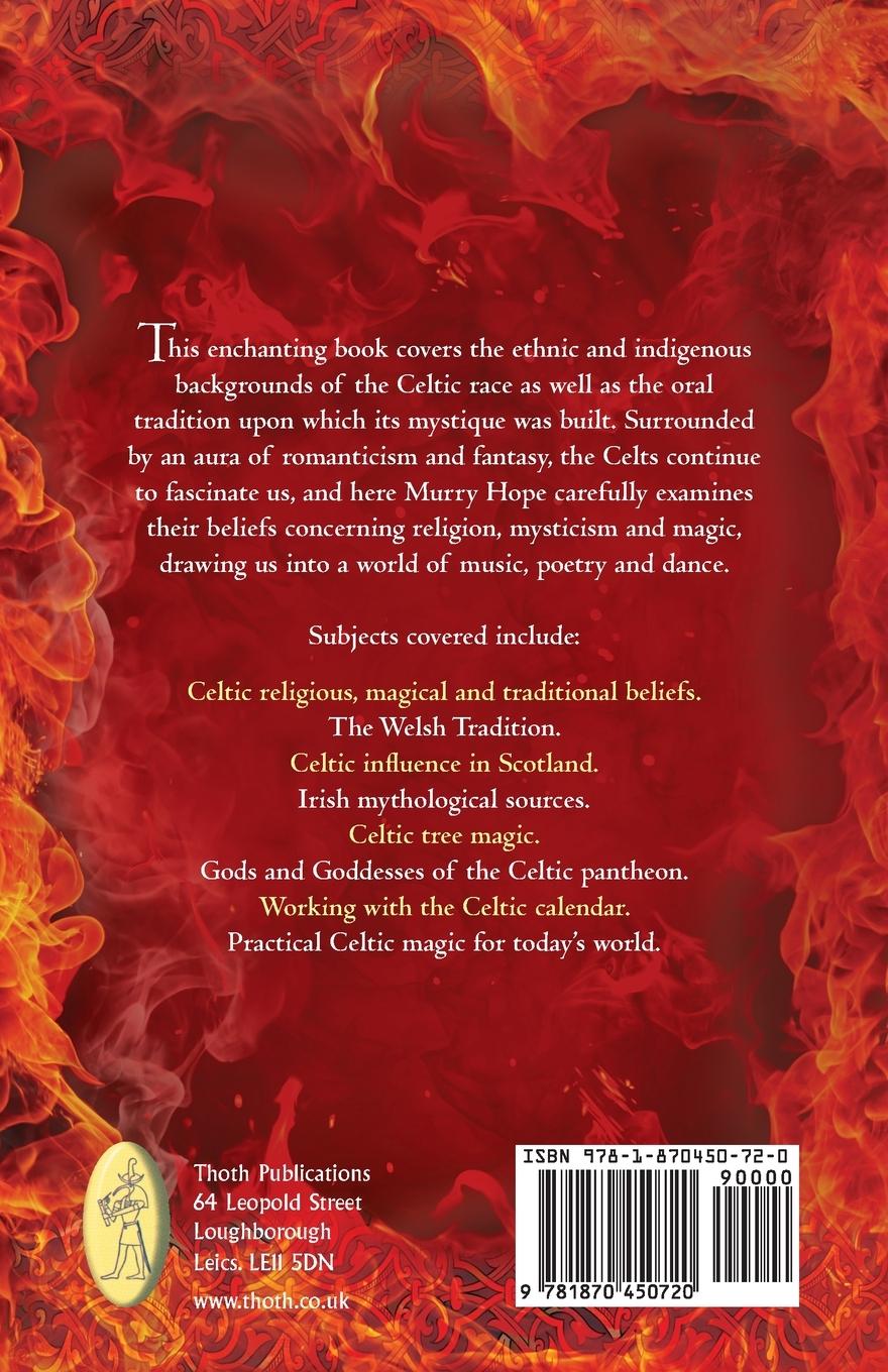 Rückseitencover PRACTICAL CELTIC MAGIC