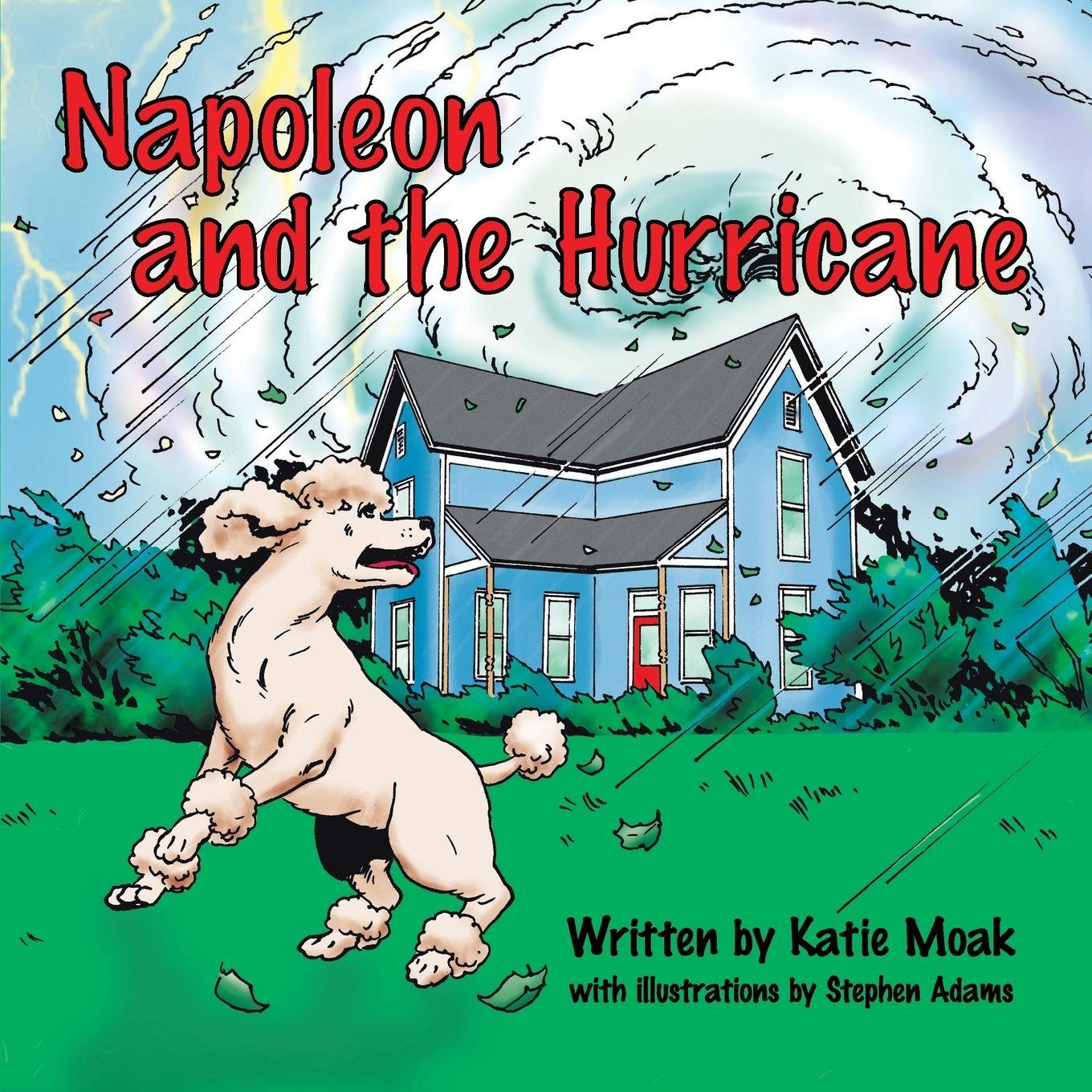 Vorderes Coverbild Napoleon and the Hurricane