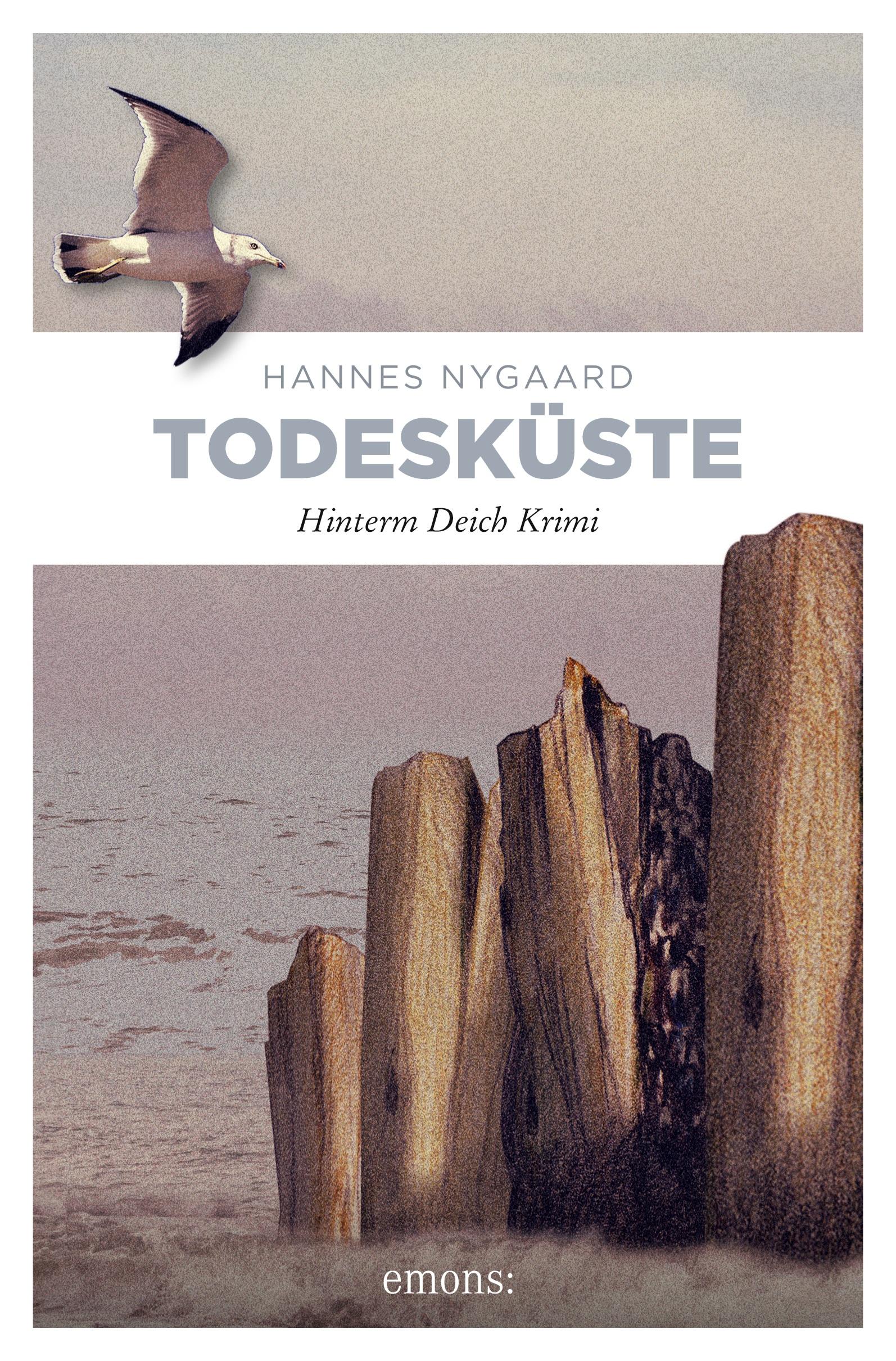 Vorderes Coverbild Todesküste