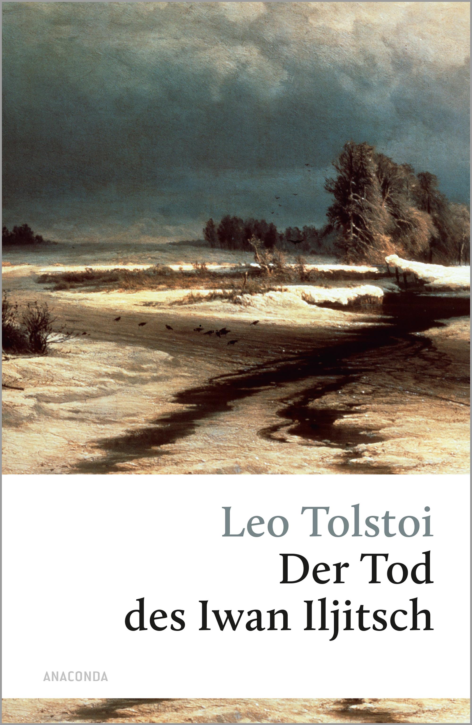 Vorderes Coverbild Der Tod des Iwan Iljitsch