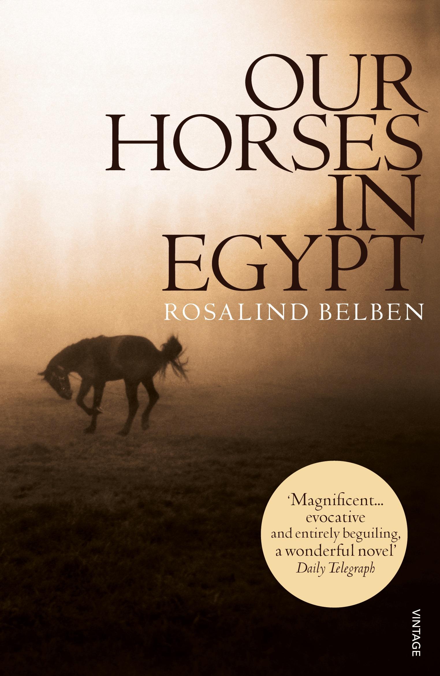 Vorderes Coverbild Our Horses in Egypt