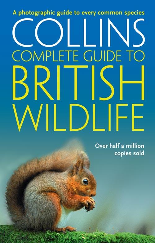 Vorderes Coverbild British Wildlife