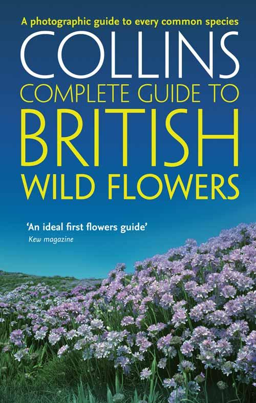 Vorderes Coverbild British Wild Flowers