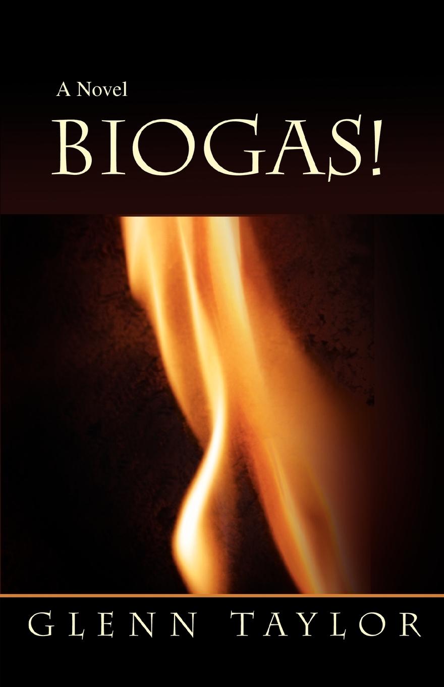 Vorderes Coverbild Biogas!