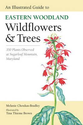 Vorderes Coverbild An Illustrated Guide to Eastern Woodland Wildflowers and Trees