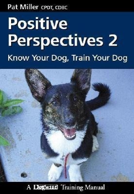 Vorderes Coverbild Positive Perspectives 2