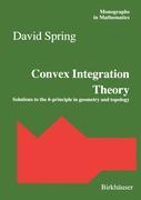 Vorderes Coverbild Convex Integration Theory