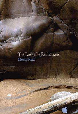 Vorderes Coverbild The Luskville Reductions
