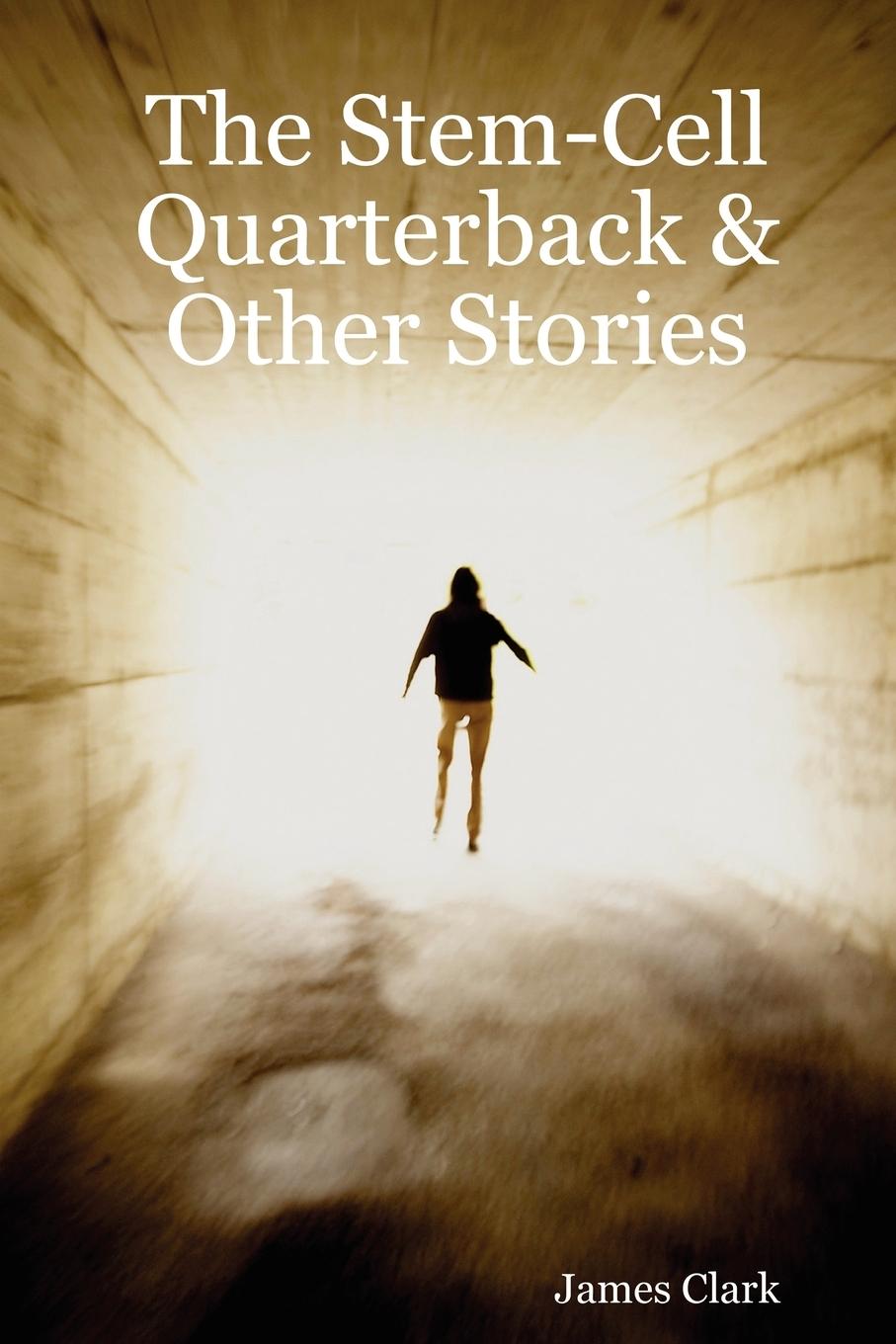 Vorderes Coverbild The Stem-Cell Quarterback & Other Stories