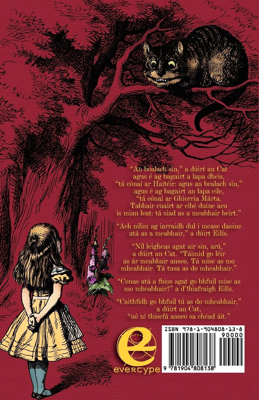 Rückseitencover Eachtraí Eilíse i dTír na nIontas