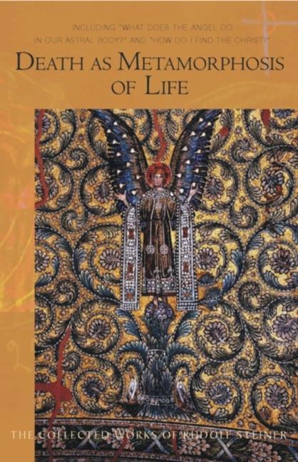 Vorderes Coverbild Death as Metamorphosis of Life