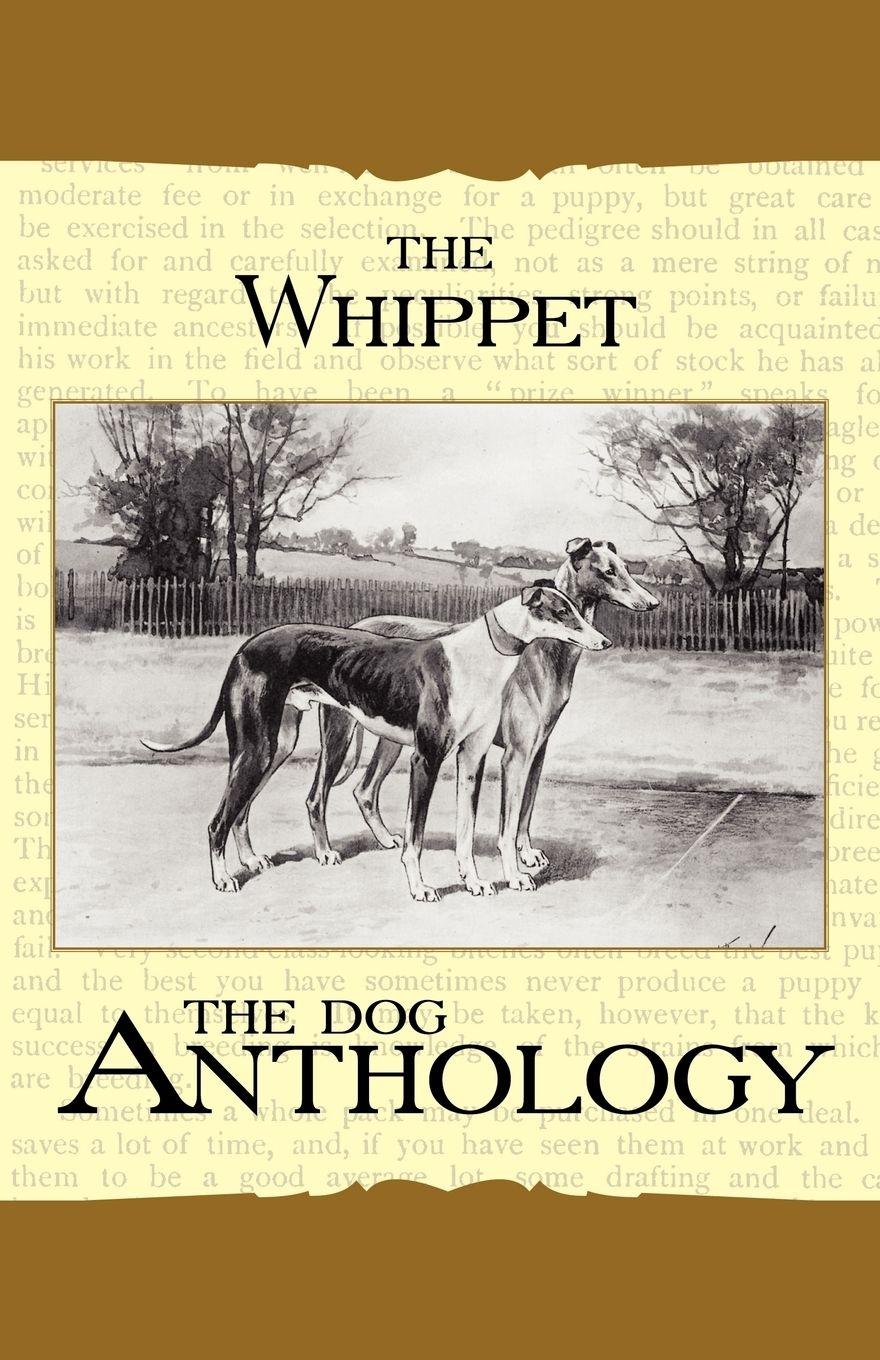 Vorderes Coverbild The Whippet - A Dog Anthology (A Vintage Dog Books Breed Classic)