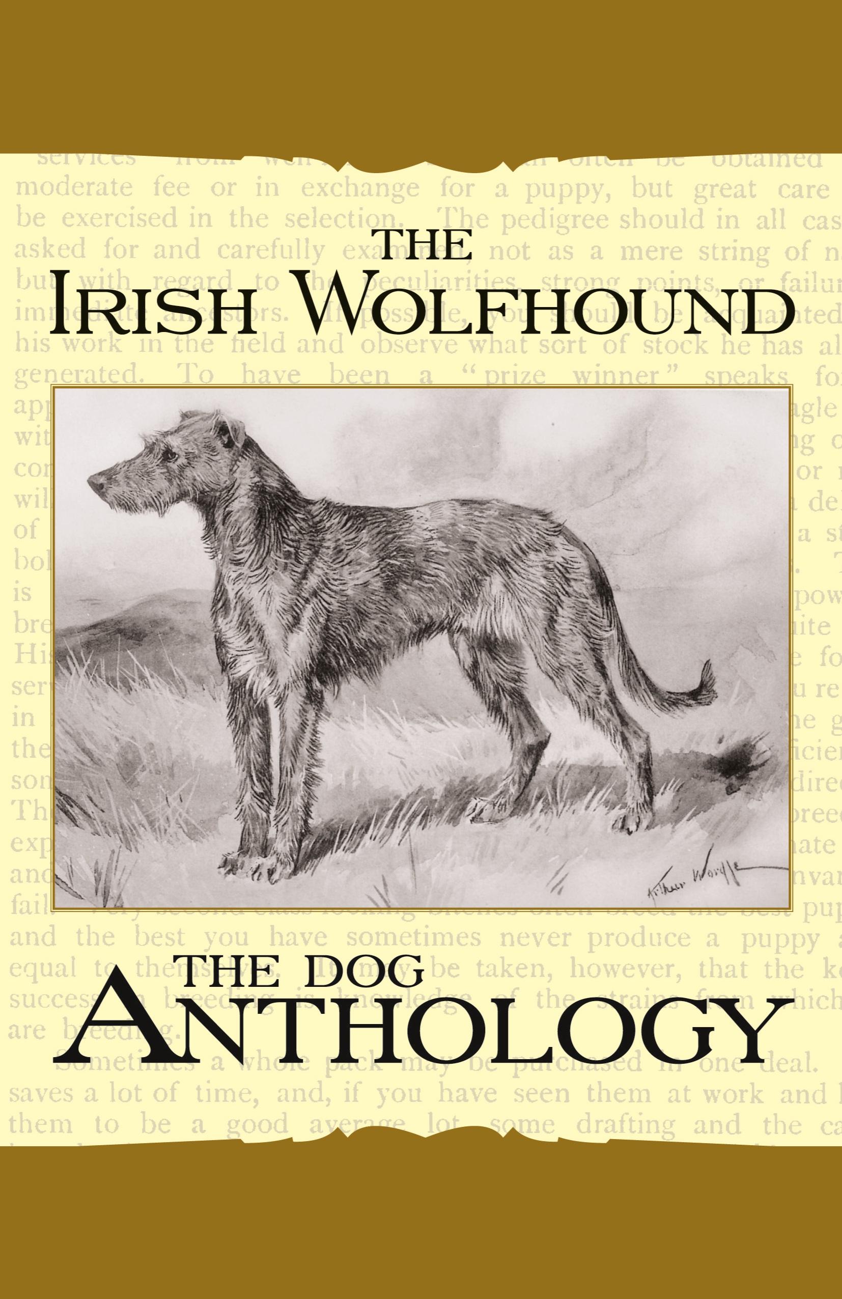 Vorderes Coverbild The Irish Wolfhound - A Dog Anthology (A Vintage Dog Books Breed Classic)