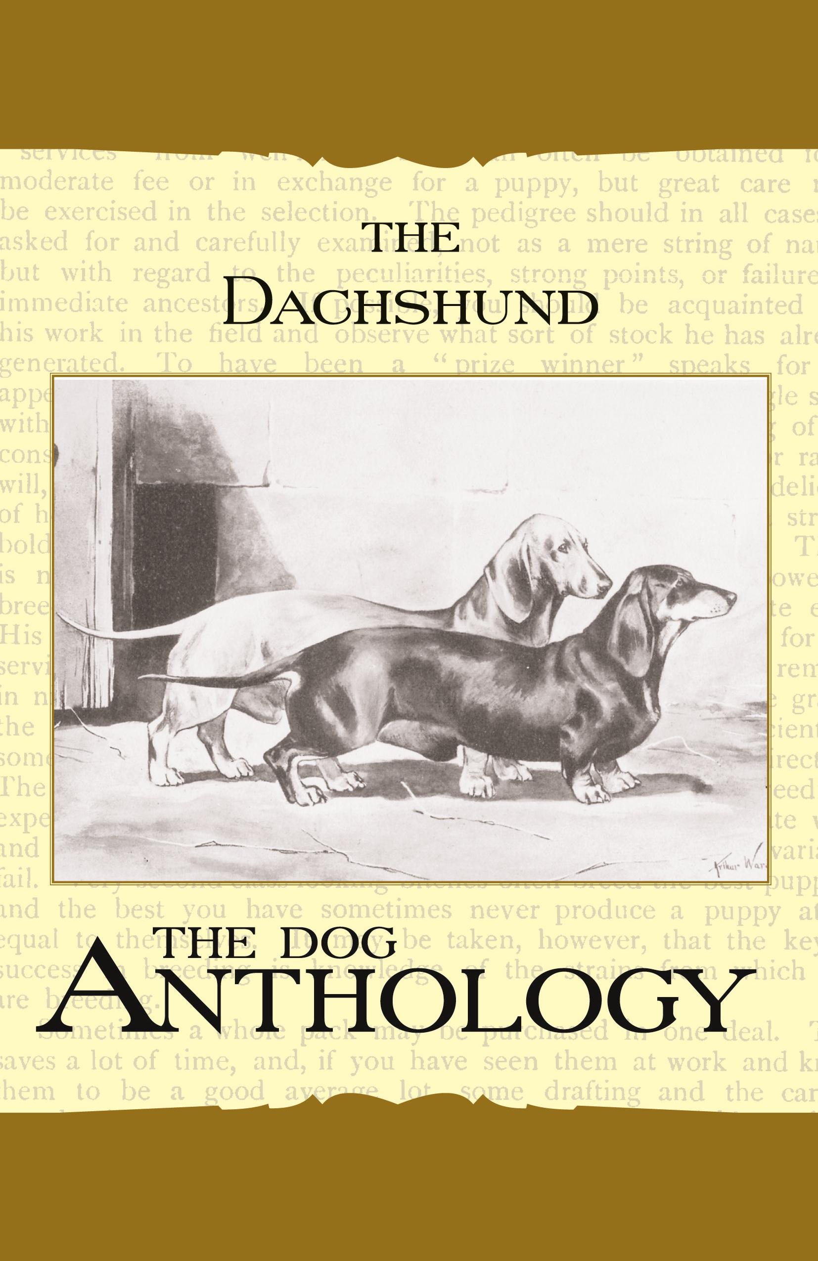 Vorderes Coverbild The Daschund - A Dog Anthology (A Vintage Dog Books Breed Classic)