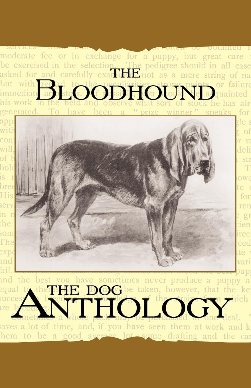 Vorderes Coverbild The Bloodhound - A Dog Anthology (A Vintage Dog Books Breed Classic)