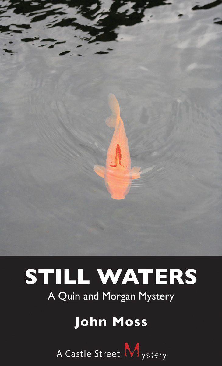 Vorderes Coverbild Still Waters