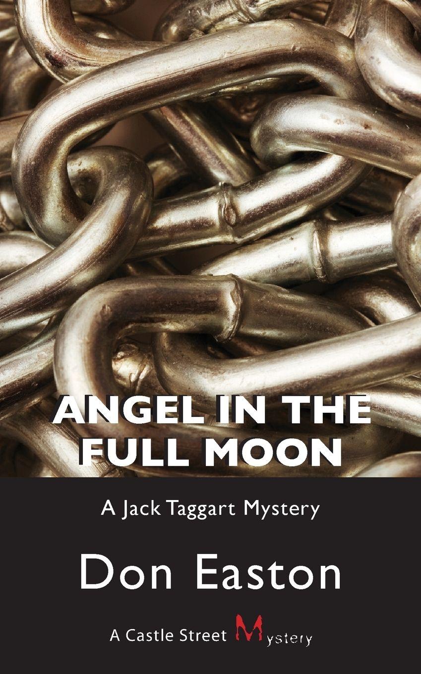 Vorderes Coverbild Angel in the Full Moon