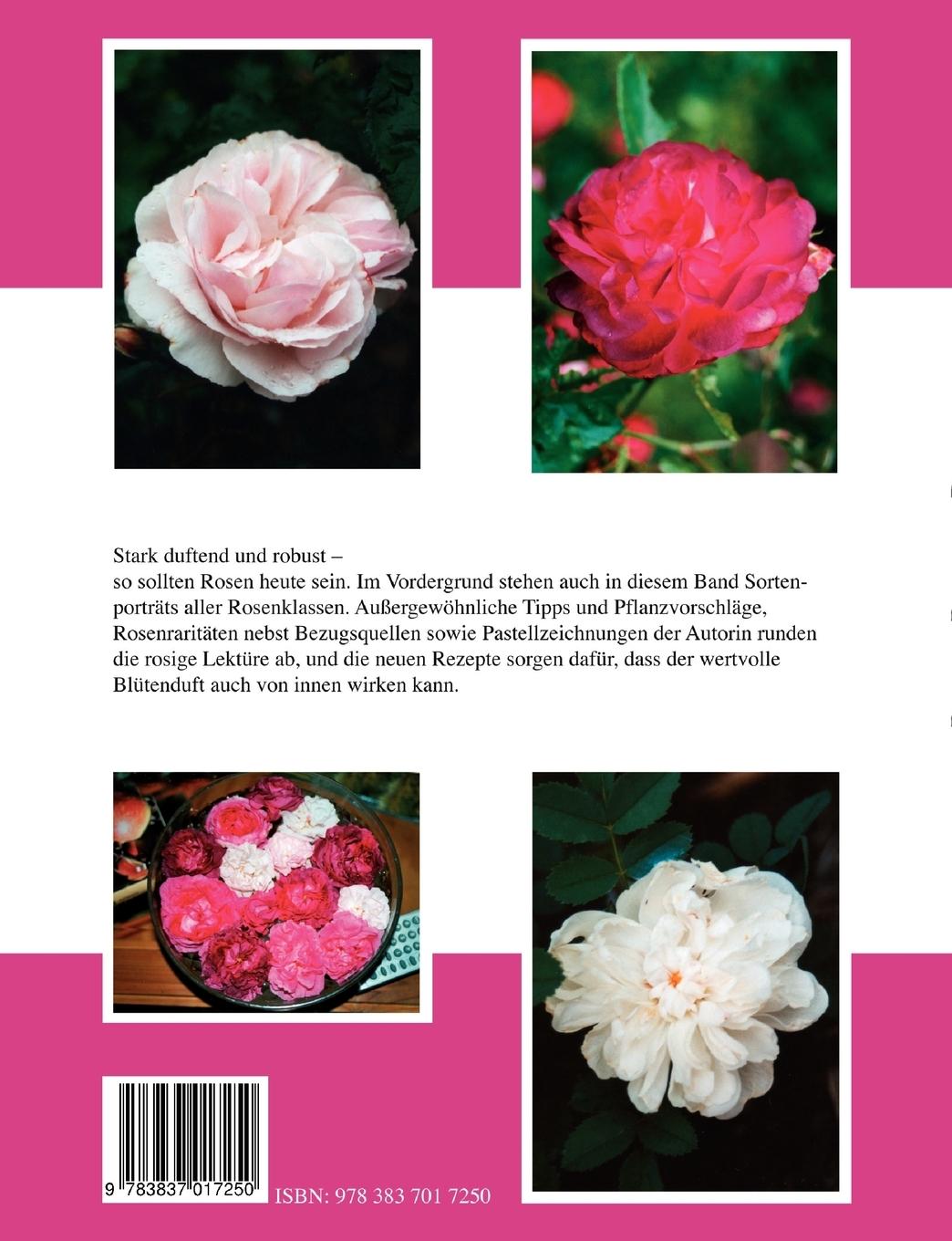 Rückseitencover Robuste Rosen mit Duft Teil II