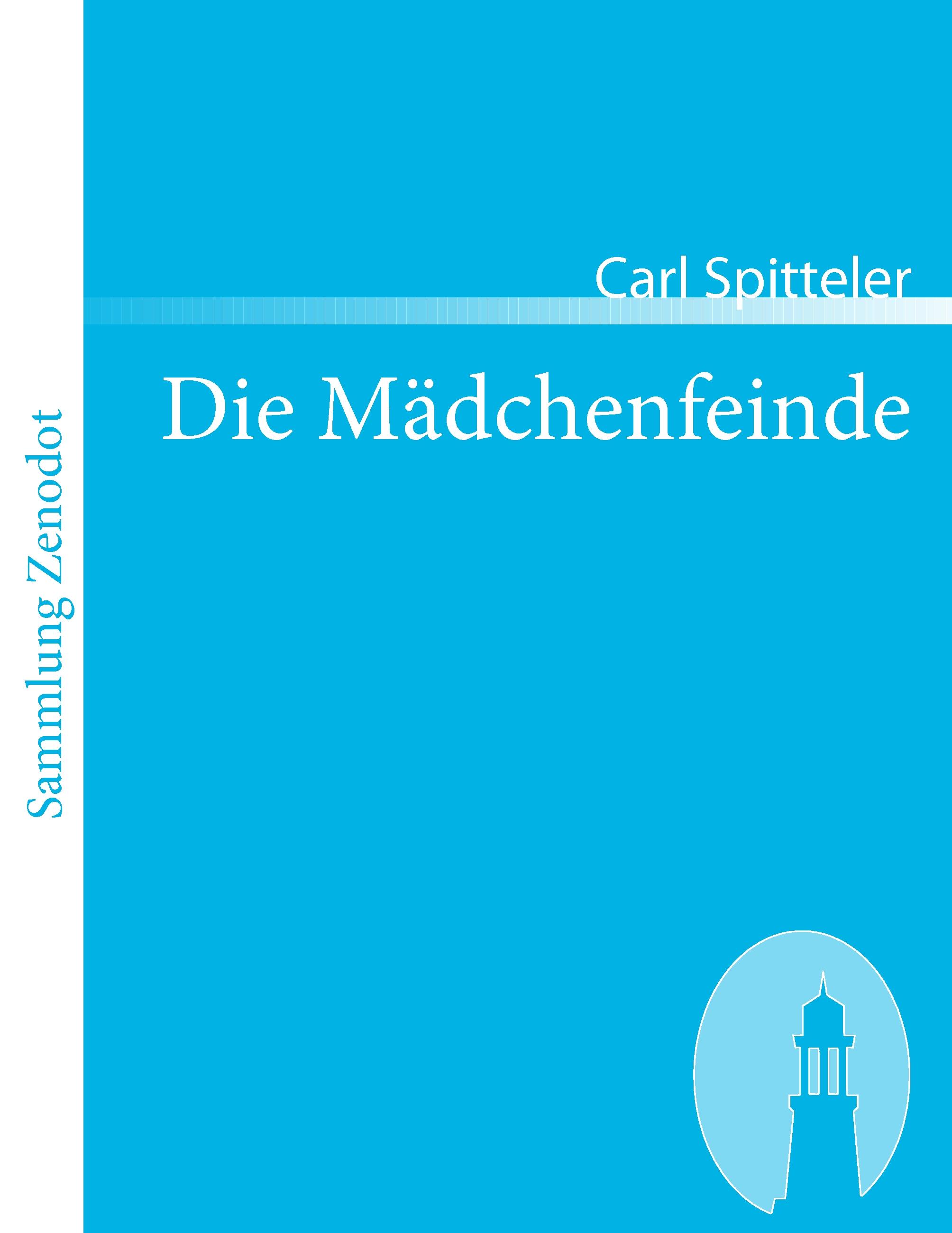 Vorderes Coverbild Die Mädchenfeinde