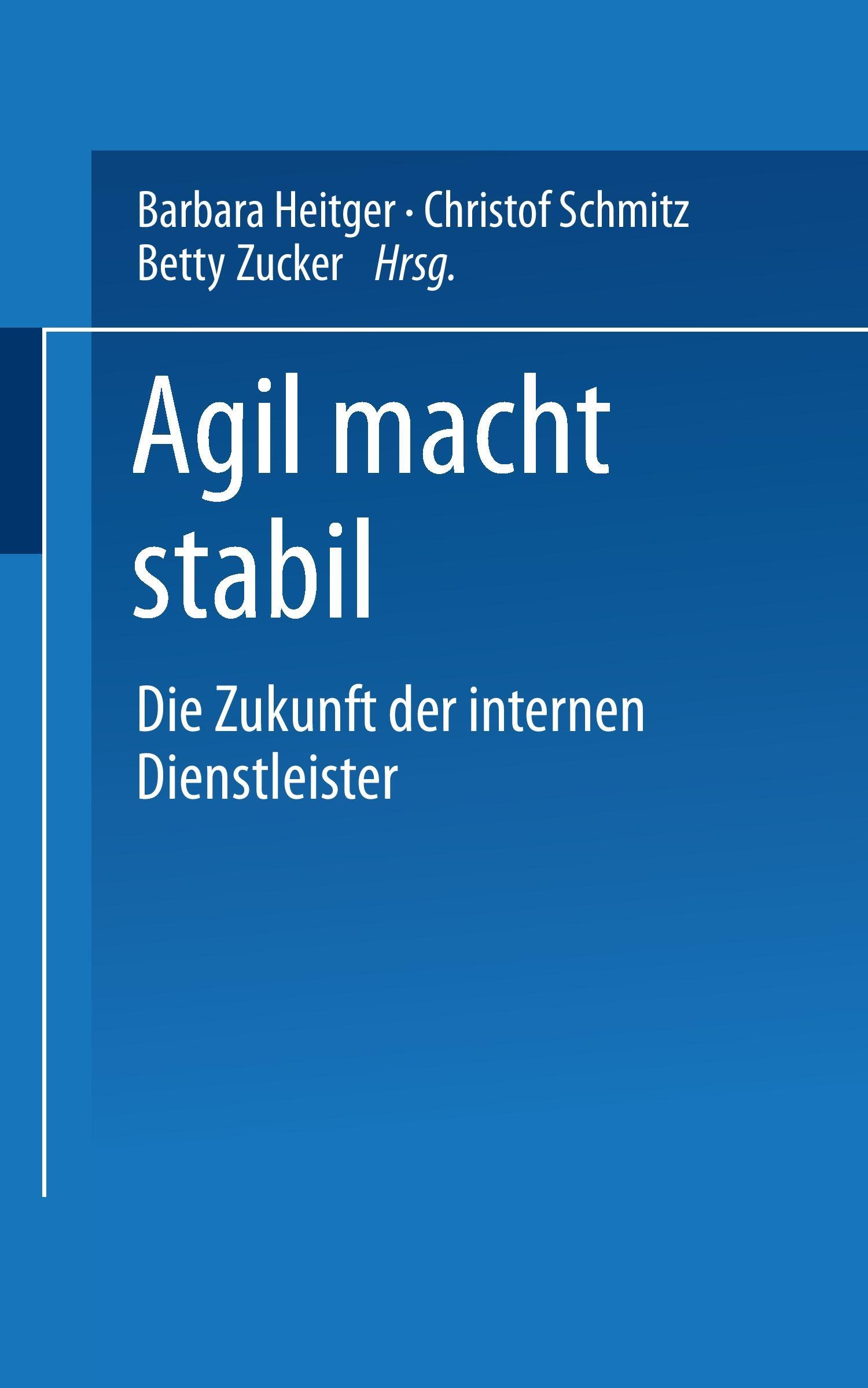 Vorderes Coverbild Agil macht stabil