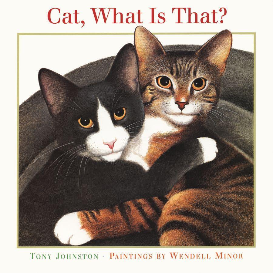 Vorderes Coverbild Cat, What Is That?