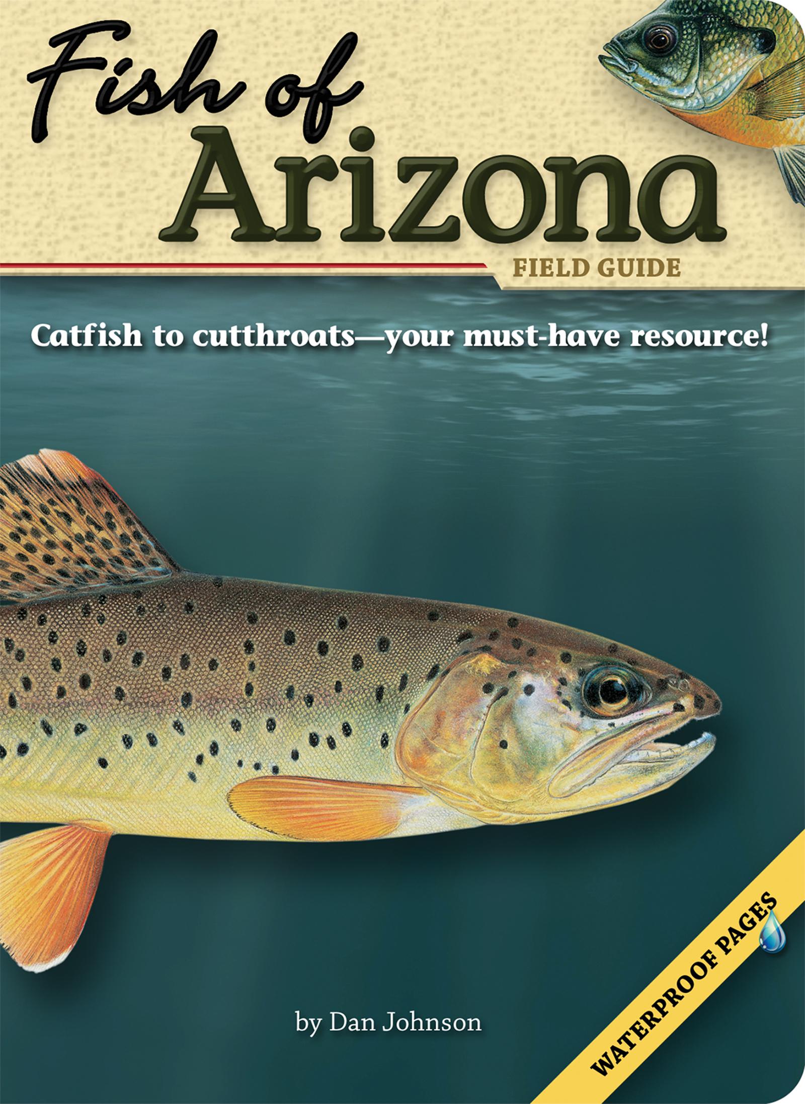 Vorderes Coverbild Fish of Arizona Field Guide