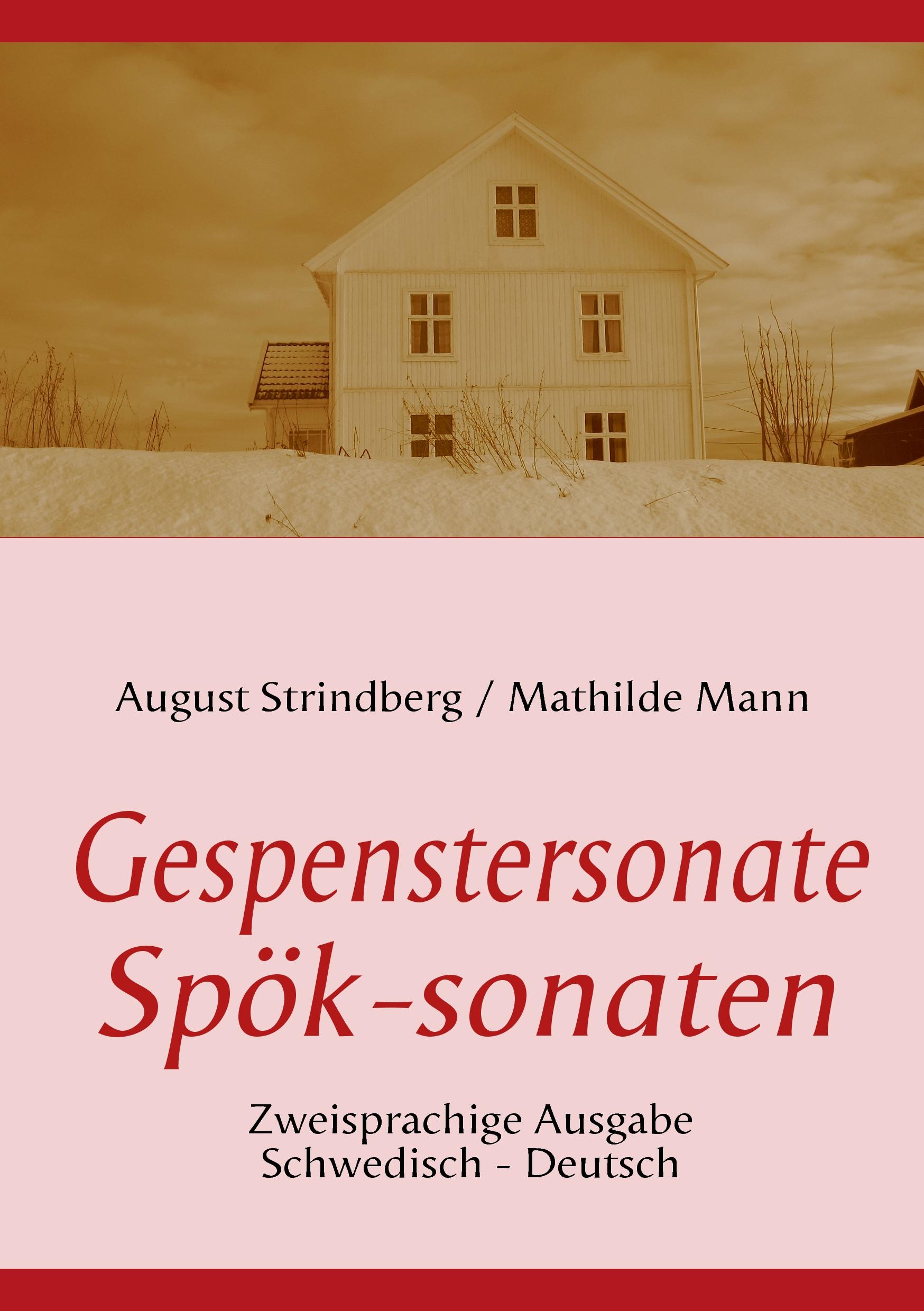 Vorderes Coverbild Die Gespenstersonate - Spök-sonaten