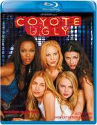 Vorderes Coverbild Coyote Ugly