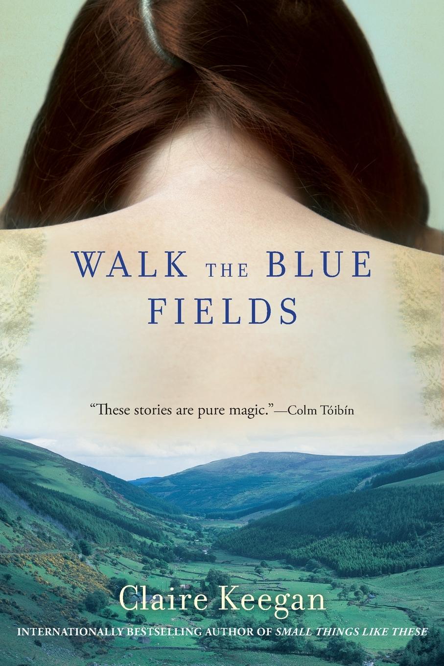 Vorderes Coverbild Walk the Blue Fields