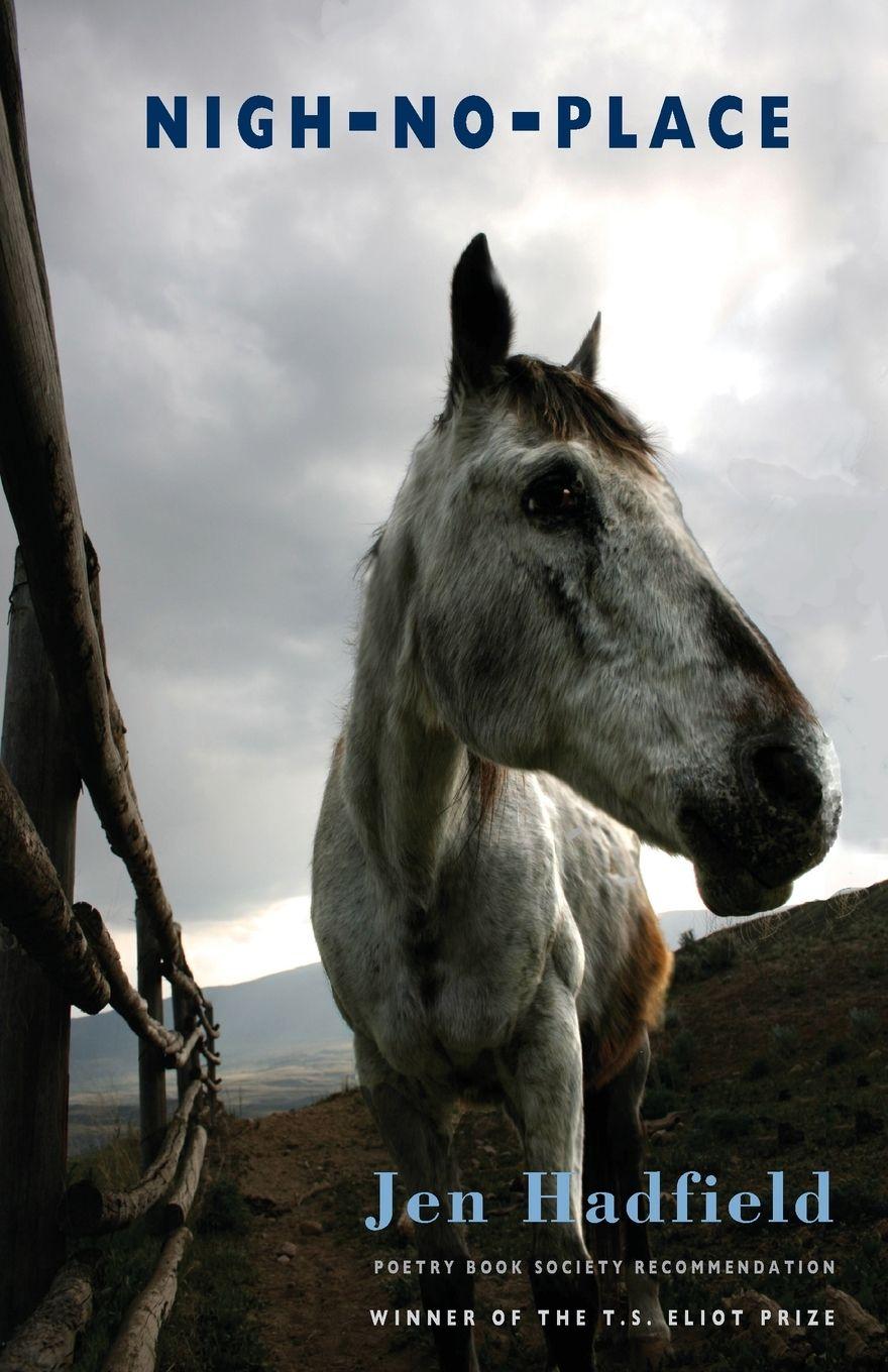 Vorderes Coverbild Nigh-No-Place
