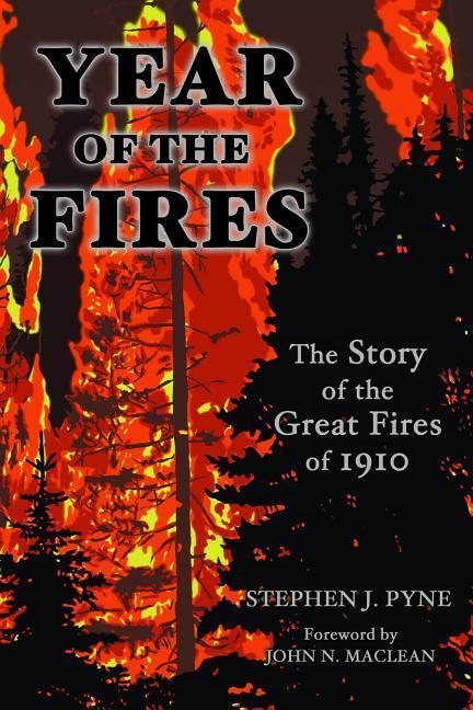 Vorderes Coverbild Year of the Fire