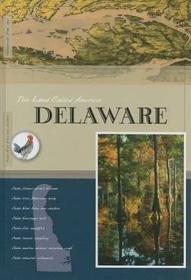 Vorderes Coverbild Delaware