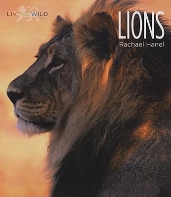 Vorderes Coverbild Lions