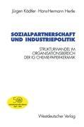 Vorderes Coverbild Sozialpartnerschaft und Industriepolitik