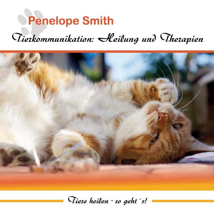 Vorderes Coverbild Tierkommunikation: Heilung und Therapien