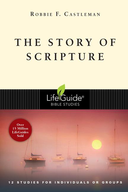 Vorderes Coverbild The Story of Scripture