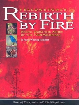Vorderes Coverbild Yellowstone's Rebirth by Fire: Rising from the Ashes of the 1988 Wildfires