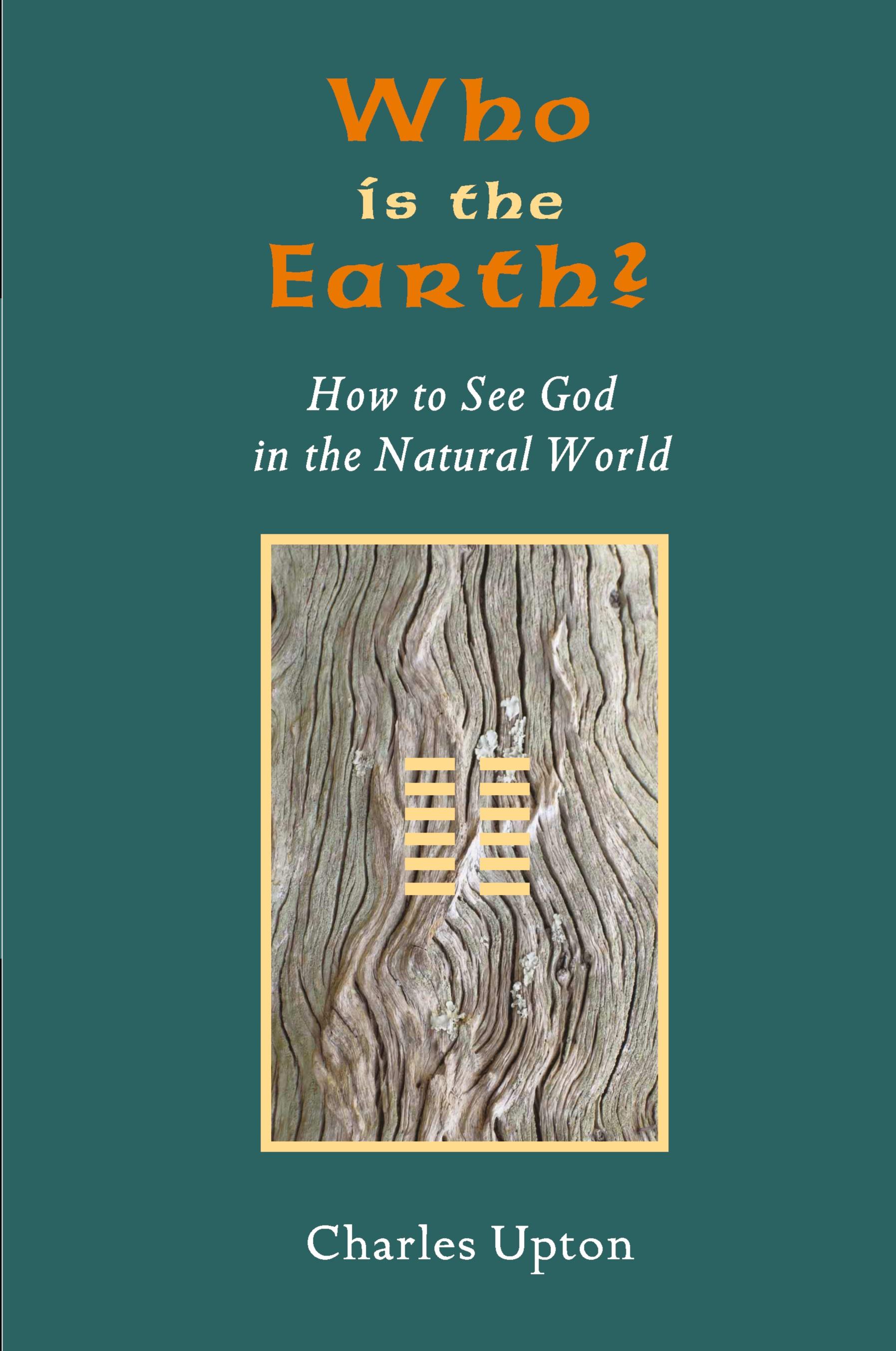 Vorderes Coverbild Who Is the Earth? How to See God in the Natural World