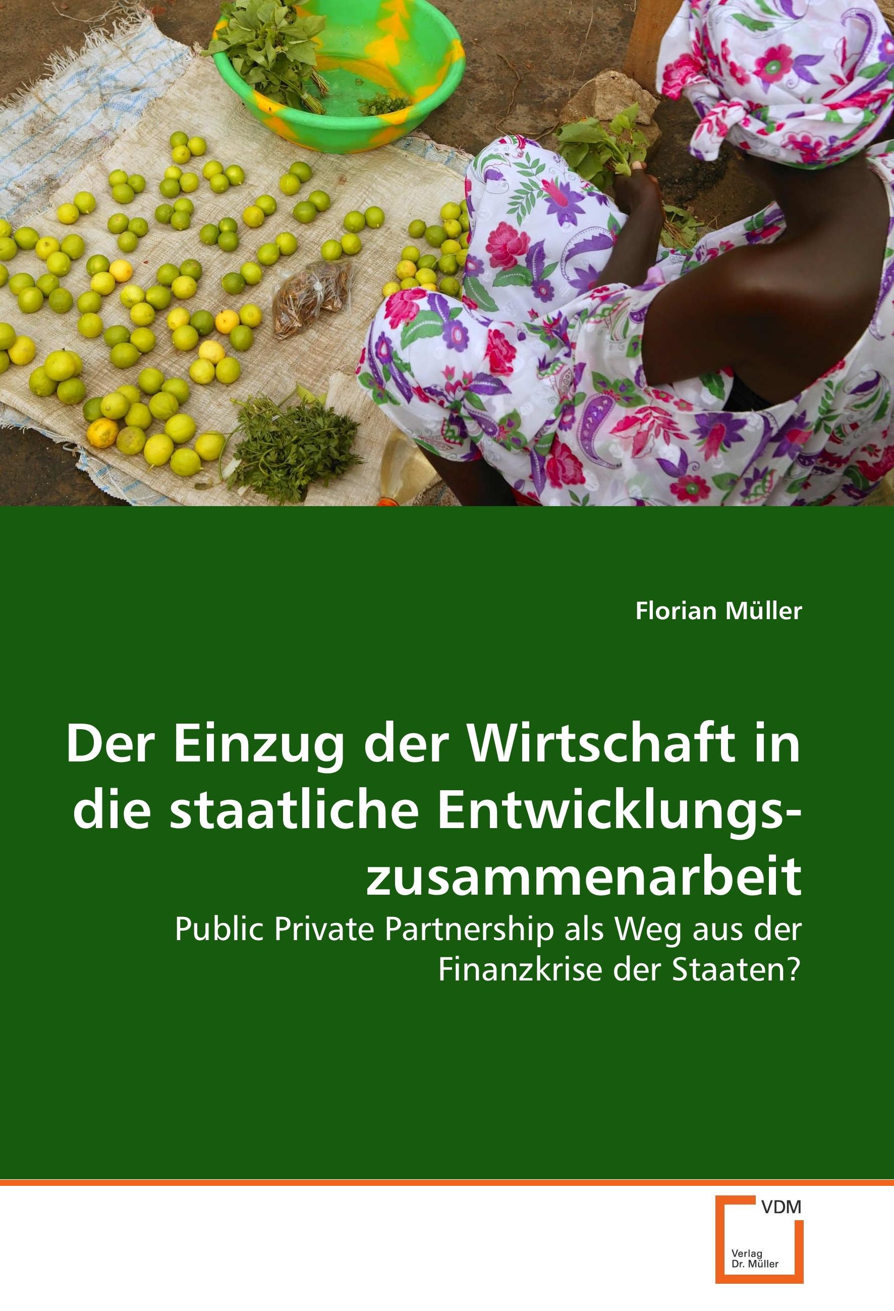 Vorderes Coverbild Der Einzug der Wirtschaft in die staatliche Ent­wicklungs­­zusammenarbeit
