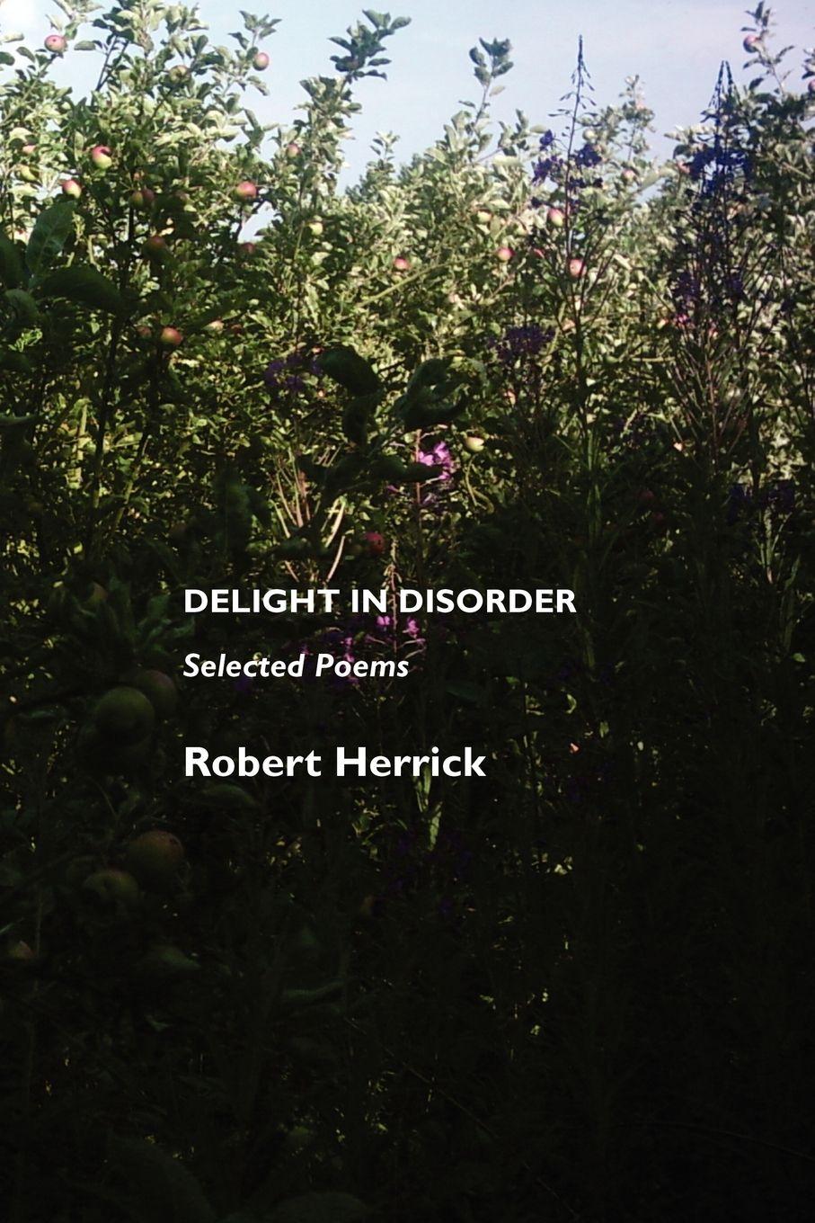 Vorderes Coverbild Delight in Disorder