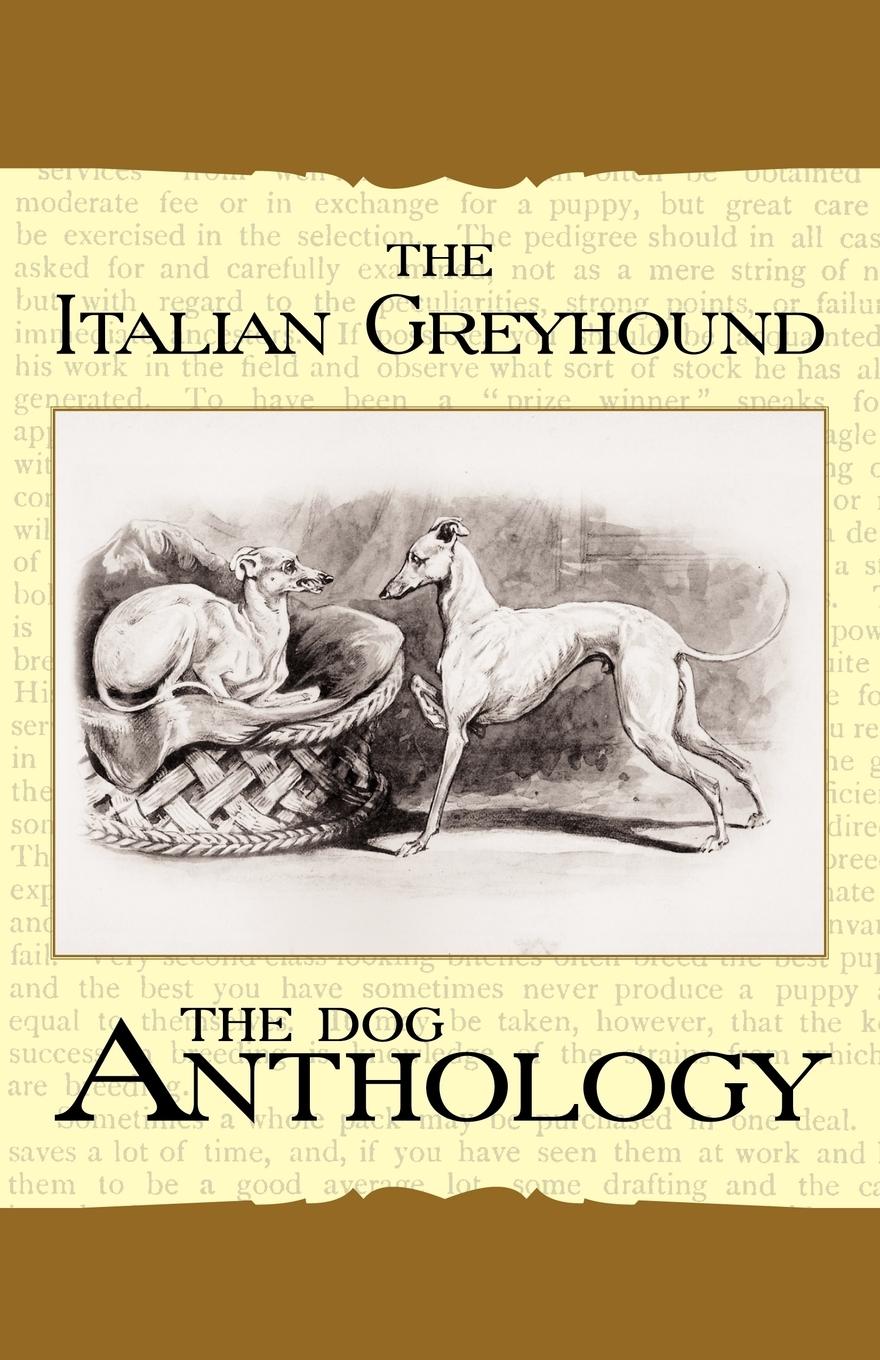 Vorderes Coverbild The Italian Greyhound
