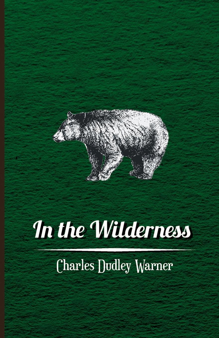 Vorderes Coverbild In The Wilderness