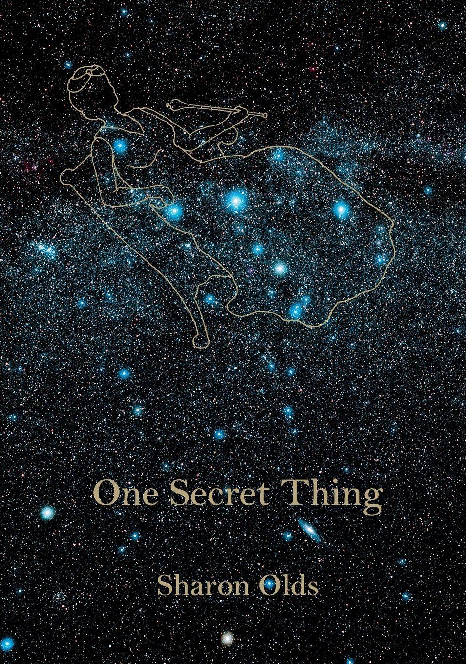 Vorderes Coverbild One Secret Thing