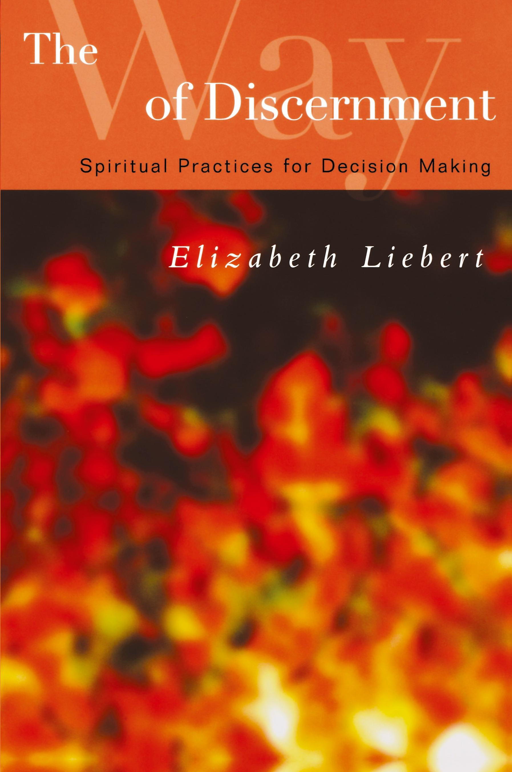 Vorderes Coverbild The Way of Discernment