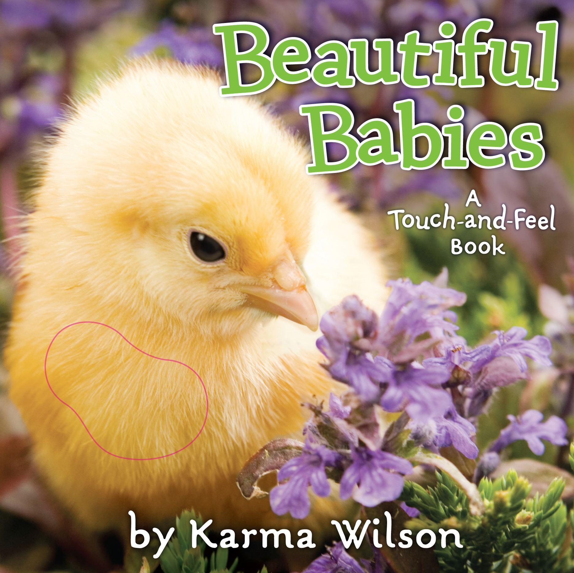 Vorderes Coverbild Beautiful Babies